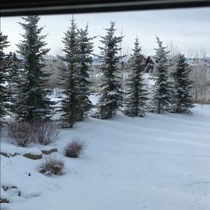 Meet your Posher, Asma